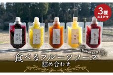睦沢の果実を使った「食べるフルーツソース」おまかせ3種詰合せ 梅 いちじく ミックスベリー キウイ レモン セット ジャム 加工品食 食品 千葉県 睦沢町 F21G-276