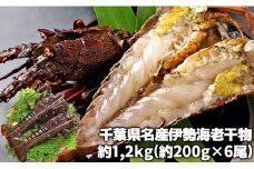 C04-E04 伊勢海老の干物 200g×6尾