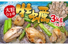 C01-H31 大粒むき身牡蠣 3kg（約20～30粒×3袋）