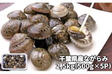 C01-E07 千葉県産ながらみ 2.5kg