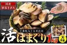 C01-E11 千葉県産活ハマグリ 1kg