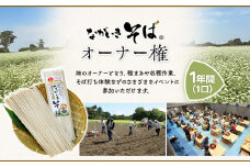 B03-009 ながいきそばオーナー権 1口