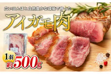 A01-003 アイガモ肉（生肉）1羽分