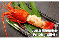 C02-J42 伊勢海老お刺身セット 1.2kg