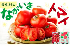 E01-002 ながいきトマト 8kg