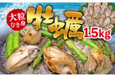 C01-J27 大粒むき身牡蠣 1.5kg（約35～45粒×1袋）