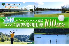 R00-001 ダイナミックゴルフ 練習場利用券（100球分）