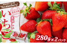 AA1-001 長生村産いちご 280g×2パック【2025年産】