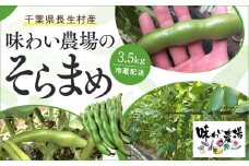 Z01-002 　今が旬！　千葉県長生村産　そらまめ　3.5kg