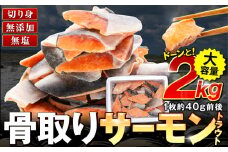 C01-J51 骨取りトラウトサーモン切り身 2kg