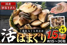 C01-J53 千葉県産活ハマグリ 1.5kg