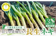 AD01-003 長生ねぎ（3kg）