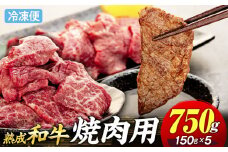 AH02-027 千葉県産和牛　長生熟成仕込　焼肉  750g