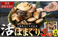 C01-I58 千葉県産活ハマグリ 3kg
