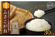 H04-B01 ふさこがね（玄米30kg）令和7年産