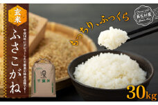 H04-B01 ふさこがね（玄米30kg）令和7年産
