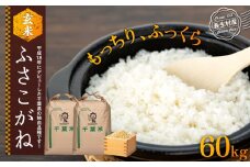 H08-B01 ふさこがね（玄米60kg）令和7年産