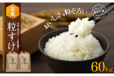 H08-B02 粒すけ（玄米60kg）令和7年産