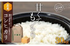 H04-B04 コシヒカリ（玄米30kg）令和7年産