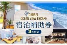 AF10-001 Chosei Ocean View Escape の宿泊補助券（3万円分）