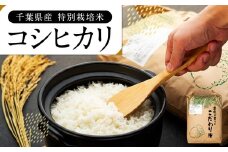 AB1-012 特別栽培米　コシヒカリ（白米）18kg