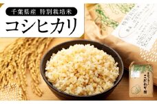AB1-015 特別栽培米　コシヒカリ（玄米）30kg