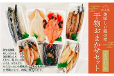 旬を厳選！海の幸干物おまかせセット ふるさと納税 干物 魚 セット 千葉県  おかず 贈答 手土産 送料無料 SHL001
