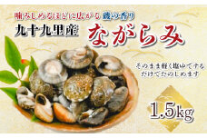 九十九里産 ながらみ 500g×3 計1.5kg ふるさと納税 ながらみ 九十九里産 貝 国産 手土産 千葉県 ひなまつり ひな祭り 雛祭り 雛まつり 節句 送料無料 SHF006