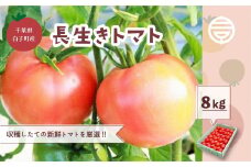 千葉県長生トマト8kg ふるさと納税 トマト リコピン サラダ イタリアン 健康 美容 送料無料 SHK004