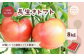 徹底した品質管理で丁寧に栽培したトマト！