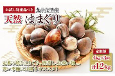 ＜定期便＞ 九十九里産 大粒 はまぐり4.0kg×3回 計12kg ふるさと納税 はまぐり 蛤 天然 定期 節句 ひな祭り ひなまつり 手土産 送料無料 SHF004