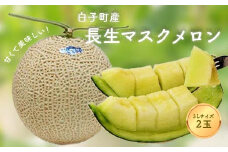 【数量限定】甘くて美味しい！長生マスクメロン２玉（３L） ふるさと納税 メロン マスクメロン 長生マスクメロン ながいきマスクメロン ２玉 令和７年発送 先行予約 産地 直送 果物 追熟 青肉 甘い デザート 美容 お見舞い 果物 手土産 送料無料 SHK005