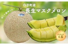 【数量限定】甘くて美味しい！長生マスクメロン６玉（２L） ふるさと納税 メロン マスクメロン 長生マスクメロン ながいきマスクメロン ６玉 令和７年発送 先行予約 産地 直送 果物 追熟 青肉 甘い デザート 美容 お見舞い 果物 手土産 送料無料 SHK007