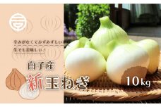 【令和7年の先行予約募集・数量限定】生で食べても美味しい！白子産の新玉ねぎ10kg たまねぎ 玉ねぎ 白子玉ねぎ スライス サラダ 健康 味噌汁 数量限定 先行予約  千葉県 白子町 送料無料 SHK001
