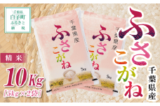 【令和6年産】千葉県産ふさこがね＜精米＞10kg(5kg×2袋) ふるさと納税 お米 10kg 千葉県産 白子町 コシヒカリ こしひかり お米 米 精米 こめ おこめ 送料無料 SHB008