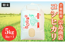 令和6年産　千葉県産 コシヒカリ（精米）5kg ふるさと納税 お米 5kg 千葉県産 白子町 コシヒカリ 米 精米 こめ 年越し おせち お餅 新年 お雑煮 送料無料 SHM001
