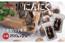黒にんにく 200g(小粒)×2袋 ふるさと納税 にんにく ニンニク 大蒜 ガーリック 黒にんにく 黒ニンニク 黒大蒜 熟成 野菜 健康食品 千葉県 白子町 送料無料 SHR002