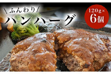 ハンハーグ　120g×6個 ふるさと納税 ハンバーグ デミグラス お惣菜 千葉県 白子町 送料無料