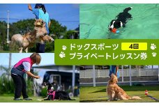 ドックスポーツ プライベートレッスン券（4回） ふるさと納税  ドッグスポーツ 利用券 チケット 犬 イヌ 千葉県 白子町 送料無料 SHAI002