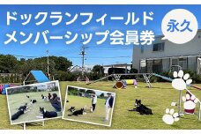 【永久】ドックランフィールド メンバーシップ会員券  ふるさと納税  ドッグラン 利用券 チケット 犬 イヌ 千葉県 白子町 送料無料 SHAI004