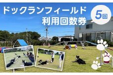  ドックランフィールド利用回数券（5回）  ふるさと納税  ドッグラン 利用券 チケット 犬 イヌ 千葉県 白子町 送料無料 SHAI007