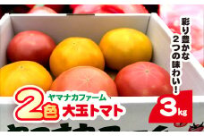 赤金2色（大玉）トマト  SHAK005 ふるさと納税 トマト リコピン サラダ イタリアン 健康 美容 千葉県 白子町 送料無料