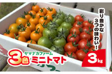3色ミニトマト　3㎏（1.5㎏×2箱）  SHAK002 ふるさと納税 トマト リコピン サラダ イタリアン 健康 美容 千葉県 白子町 送料無料