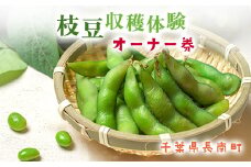 【2025年9月発送】枝豆オーナー券　CNA003