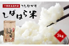 令和6年産米 千葉県産コシヒカリ「しばはら米」5kg(精米) CNA001