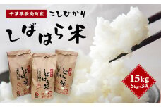 令和6年産米 千葉県産コシヒカリ「しばはら米」15kg (5kg×3)(精米) CNA002