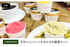 Gelateria GIOIA 手作りジェラートおまかせ８種類セット ふるさと納税 ジェラート 手作り デザート 冷たい アイス イタリア 千葉県 長南町 CNH004