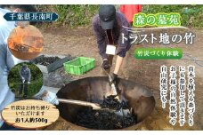 トラスト地の竹を使った竹炭づくりと植樹体験 CNI003