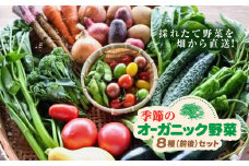 季節のオーガニック野菜セット（8種前後） / ふるさと納税 やさい 野菜 セット オーガニック 季節 新鮮 採れたて 旬 農家直送 千葉県 長南町 CNU001