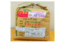 令和6年産 大多喜町産コシヒカリ精米5ｋｇ、年間12回お届け T09005